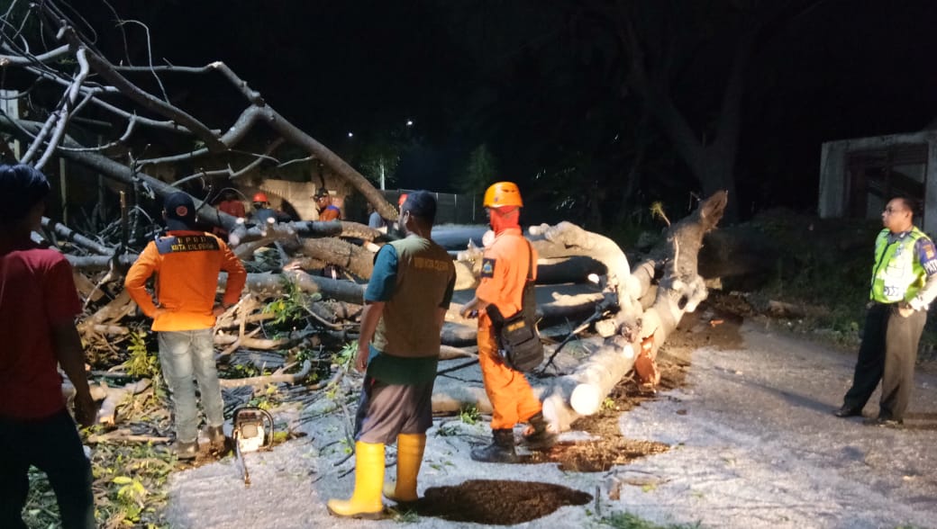 bpbdcilegon's tweet photo. BENCANA ANGIN PUTING BELIUNG
SENIN
27 Agustus 2018
20.30 WIB

Alamat : Link Pulorida RT 04 RW 01 Kel.Lebak Gede Kec.Pulomerak
Jenis Kejadian : Bencana Pohon Tumbang
Upaya : Melakukan Upaya Evakuasi Pemotongan pohon yang menutupi akses jalan ke arah suralaya
@BNPB_Indonesia https://t.co/hTexyye45x