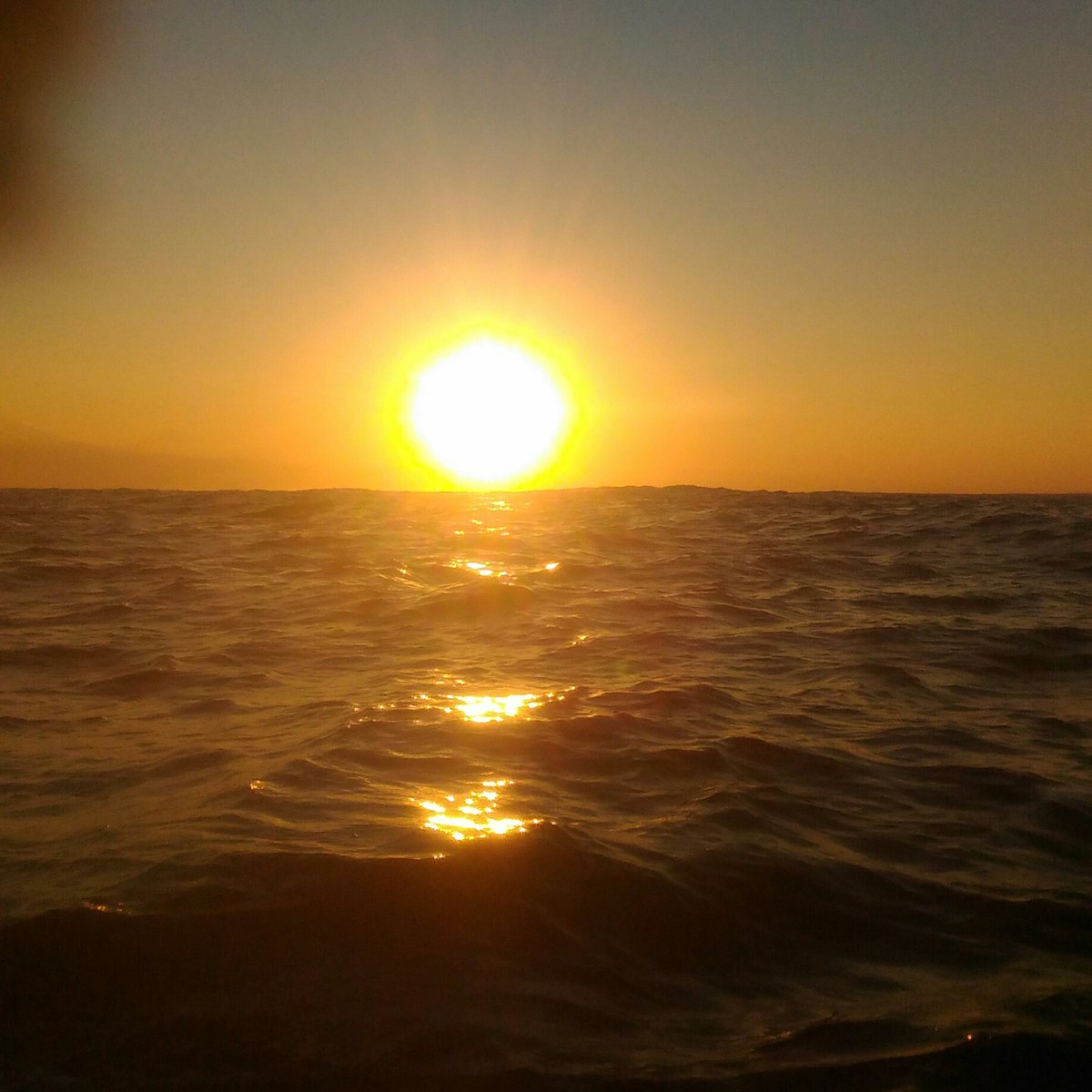 HermanJs5 tweet picture