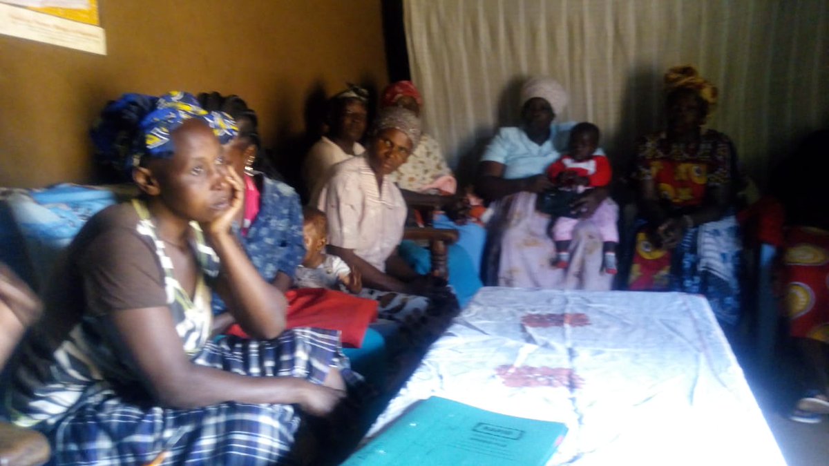 buy Die ärztliche Zweitmeinung: Fehler, Vertrauen und Qualität in der Medizin