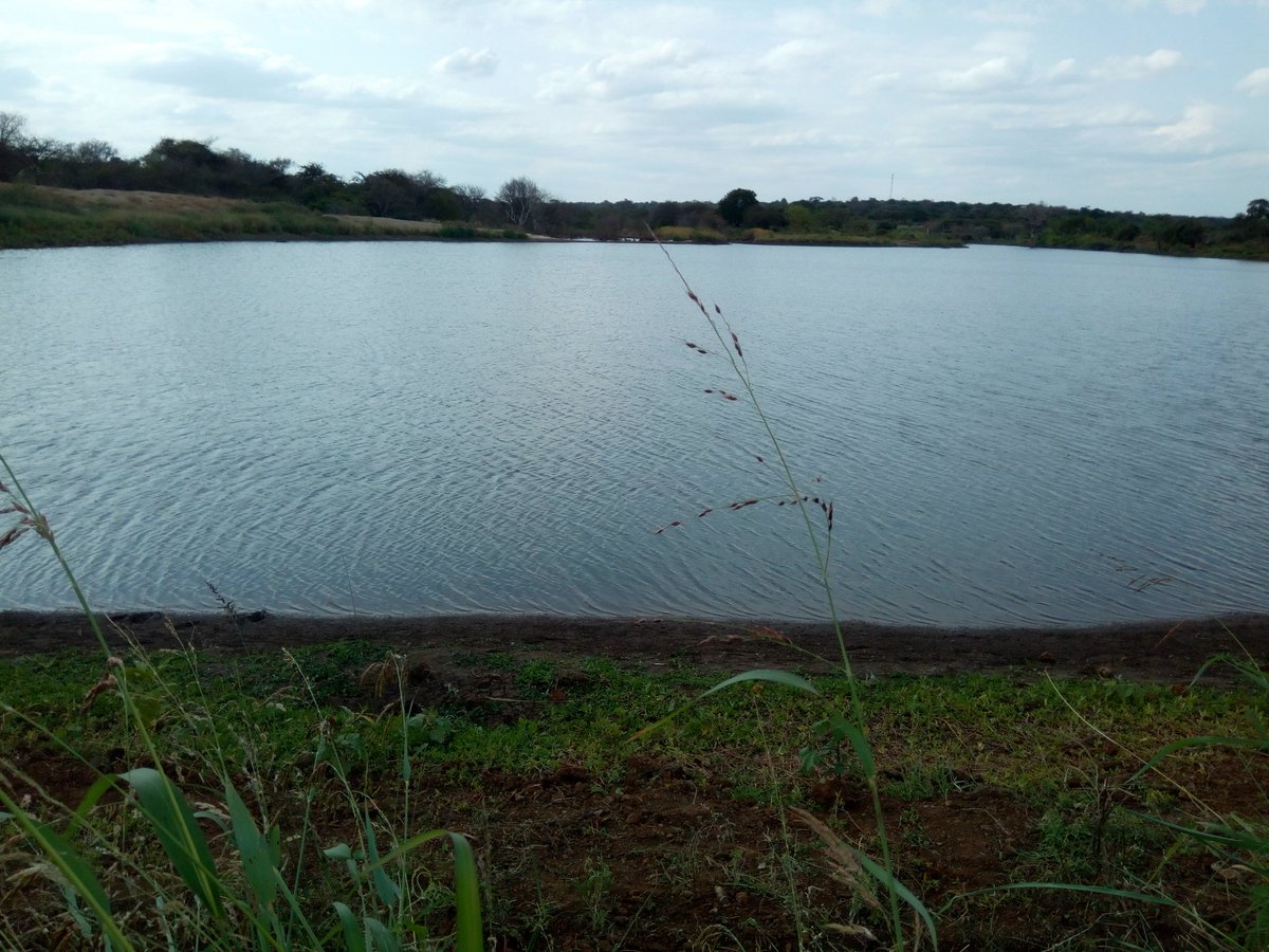 ProfKibwana's tweet photo. Today with devolution ,we have seen new roads emerge in the villages, better health care is fast becoming a reality, new modern hospital facilities are coming up, manufacturing plants  are roaring to life from venues no one ever expected #Governorspeerlearning @KenyaGovernors https://t.co/Y8c5jpBhdh