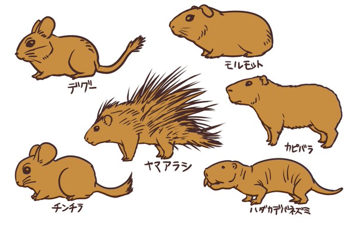 デグーのtwitterイラスト検索結果 古い順 デグーのtwitterイラスト検索結果 古い順