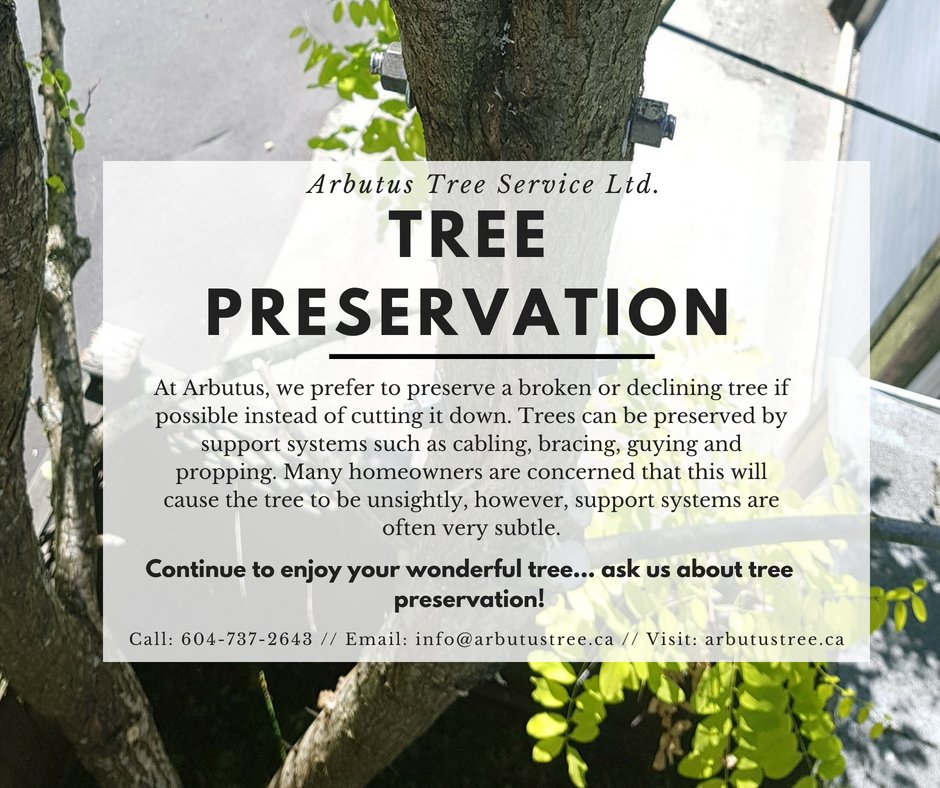 ArbutusLtd's tweet image. #treepreservation #savetrees