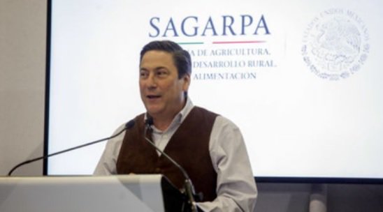 #FelizLunes Se prevé que la #agricultura #mexicana crezca en extensión un 28% en los próximos seis años, un 20.2% más que el sexenio pasado. #CampoMexicano
infoagro.com/mexico/la-tecn…
