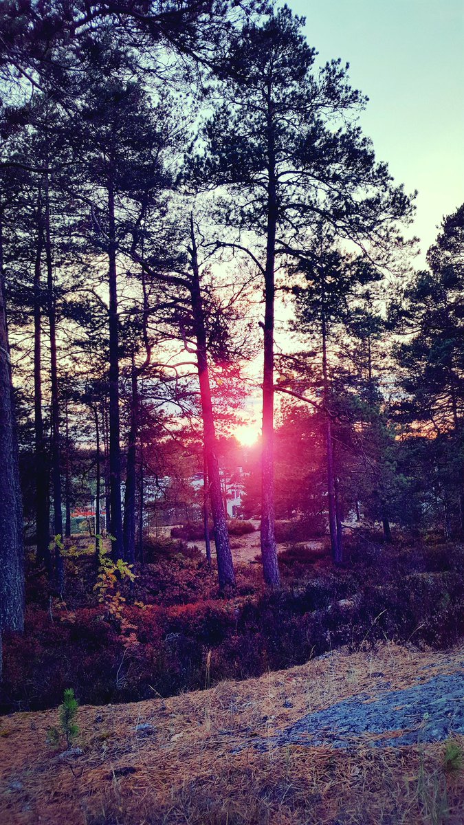 When everything feels like it is falling apart, that is when you need to find that little glimmer of hope. #smpitkä #Health