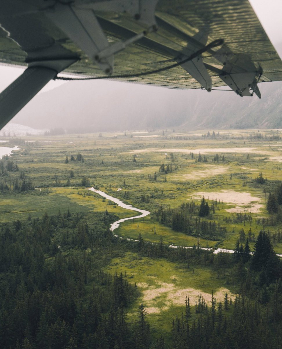 TRVLCreative's tweet photo. Juneau, Alaska https://t.co/owLJ89ZCgr