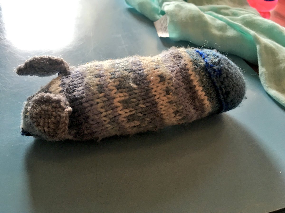 KirstyGibbins85's tweet photo. Ahem. I’m just going to leave this here...  #knittingfail #doyouseewhatIsee #warpedweemoosie https://t.co/8zG7AbPKvh