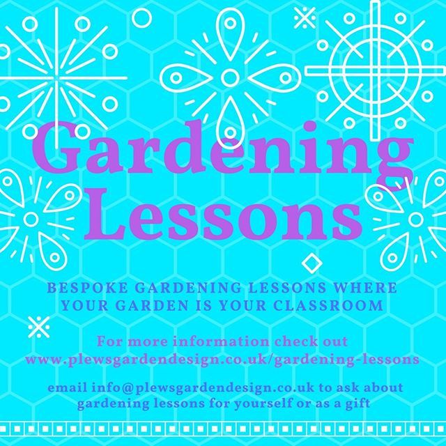 plewsgd's tweet photo. Would you like the opportunity to learn about #gardening in your own garden? #Plews can provide you with bespoke #gardeninglessons that do just that. Check out the website for more info and get in touch! #gardeninglessons #gardeningcourses #gardeningteac… https://t.co/PKVaZSSj3v https://t.co/vlBOFbwGxn