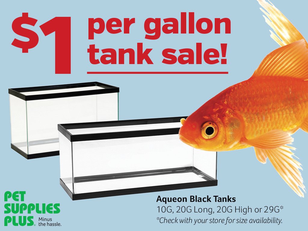 Pet Supplies Plus Fish Tanks Buy Now Online 57 Off Opsbonedocs Com