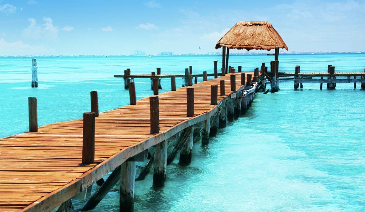 NetCents tweet media