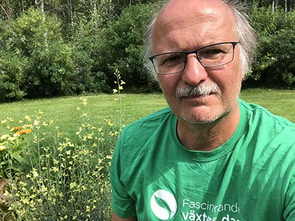 Physiologia Plantarum tweet media