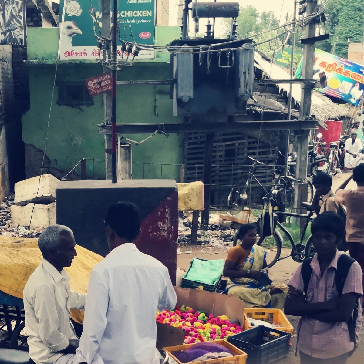 wort_sinn's tweet photo. In Tamil Nadu mag man es bunt. Auch weil sich Buntes besser verkauft. Deshalb wird vieles eingefärbt - sogar Küken. #fieldresearch #indiaexperience #tamilnadu #colouredanimals https://t.co/efVne1Afb3