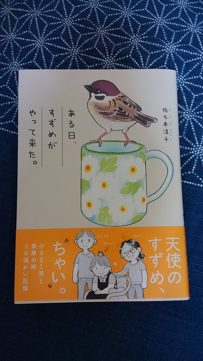 佐々木淳子さんの可愛いすずめ本、9月5日発売だけど私も見本頂けました❗なぜなら編集さんが私のツイッターでちゃいちゃんのRTを見て、佐々木さんに依頼したんですって❗
もう、ちゃいちゃんラブリー過ぎ💕雛から成長していく姿、すずめながら豊かな感情でご家族それぞれの愛情に応える姿、面白いよ❗ 