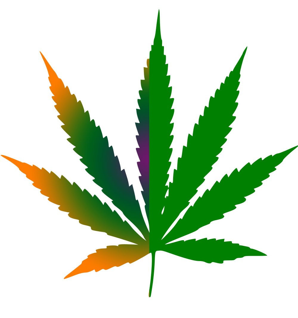 BodystreamMed's tweet image. Medical and recreational #marijuana should have seperate regulations.

bodystreammedical.ca/blog-post/pati…

#CannabisClinic #MarijuanaClinic #canada #MedicalMarijuana #MedicalCannabis #cannabis #MarijuanaLaw #CannabisLaw