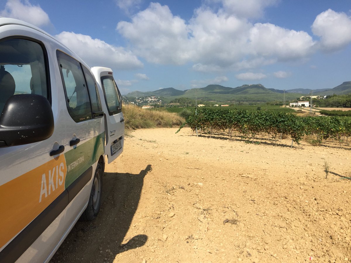 AKIS International tweet media