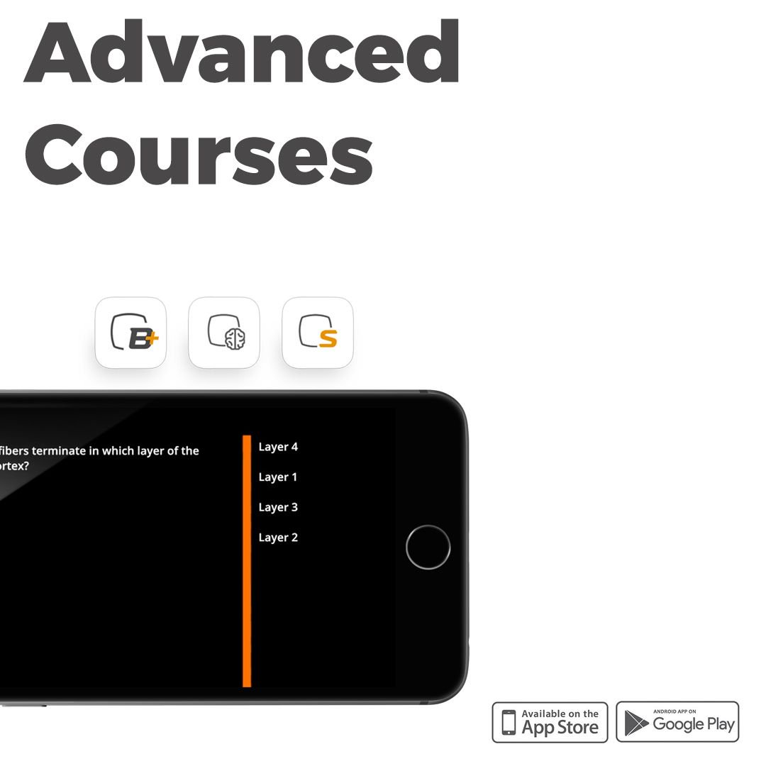 How To Hack Free Fire With Game Guardian In Hindi It's Real