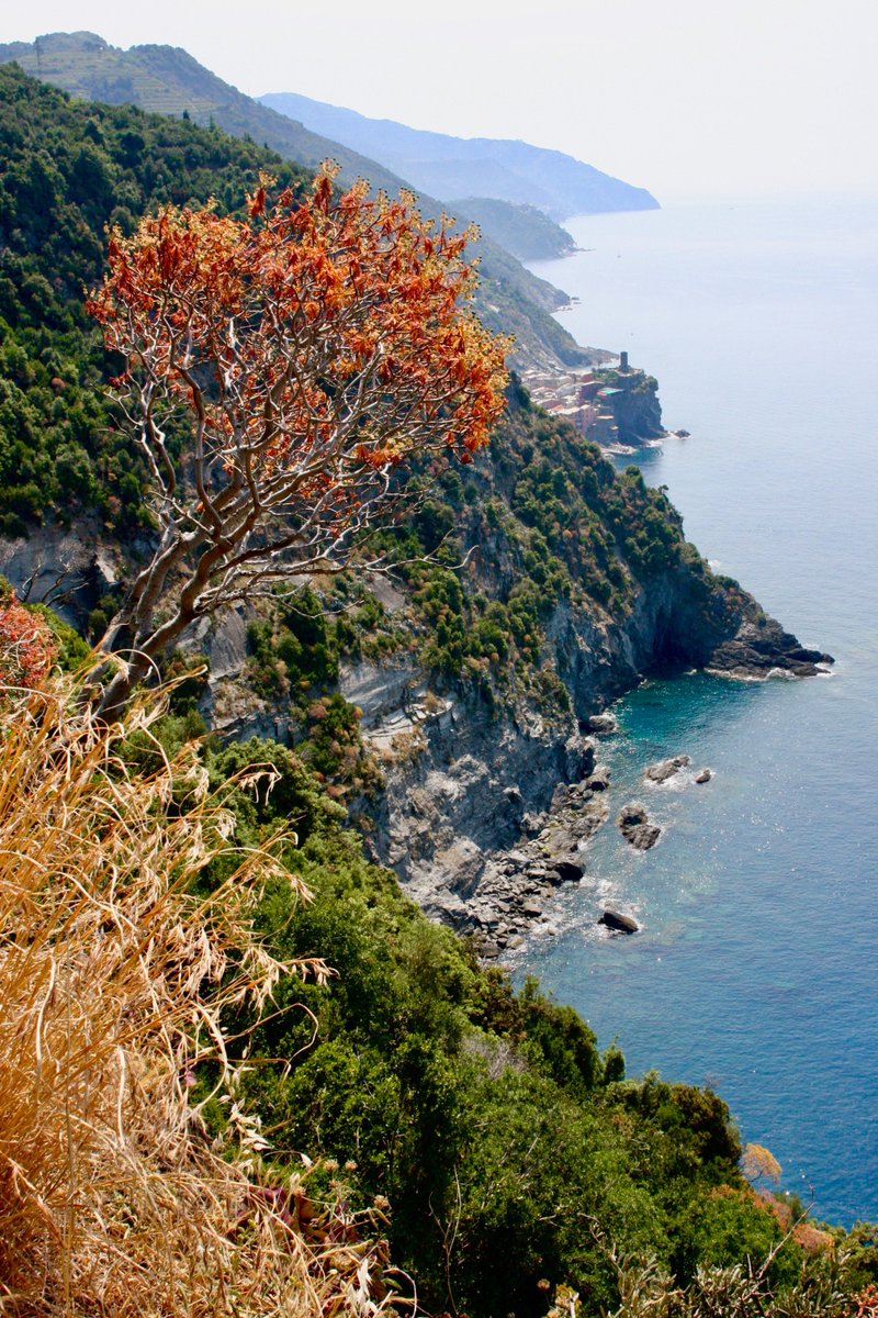 Vernazza (May 2011) #Italia #liguria #CinqueTerre #italy @ig_liguria @TurismoLiguria @parco5terre @Italy5Terre @Alitalia @BeautyfromItaly @dcq_italia @italiaslowtour @Walks @wanderlustitaly @tweetsgenova @igersItalia @DiscoverItalia @ParcoPortofino