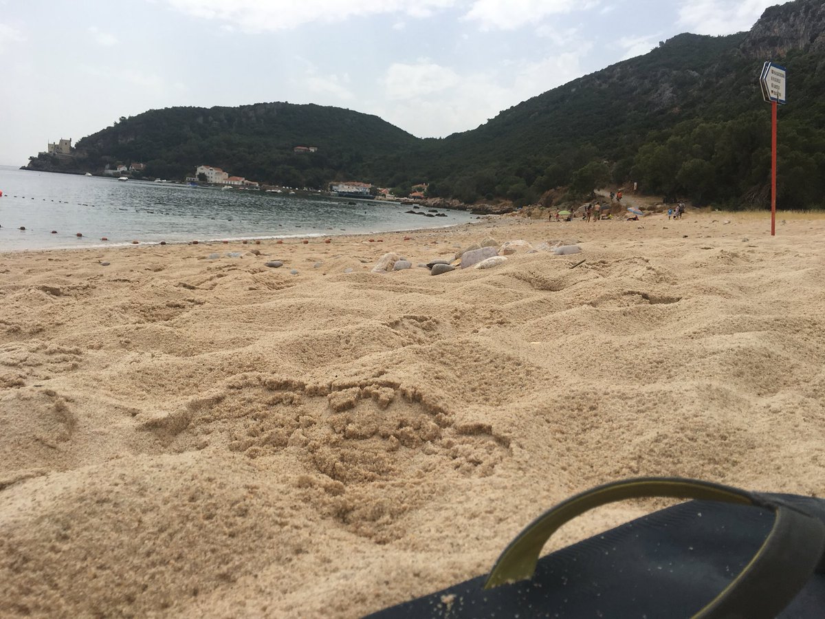 brunocfalcao's tweet image. Studying Laravel Nova docs on the beach. @laravelphp #LaravelNova
