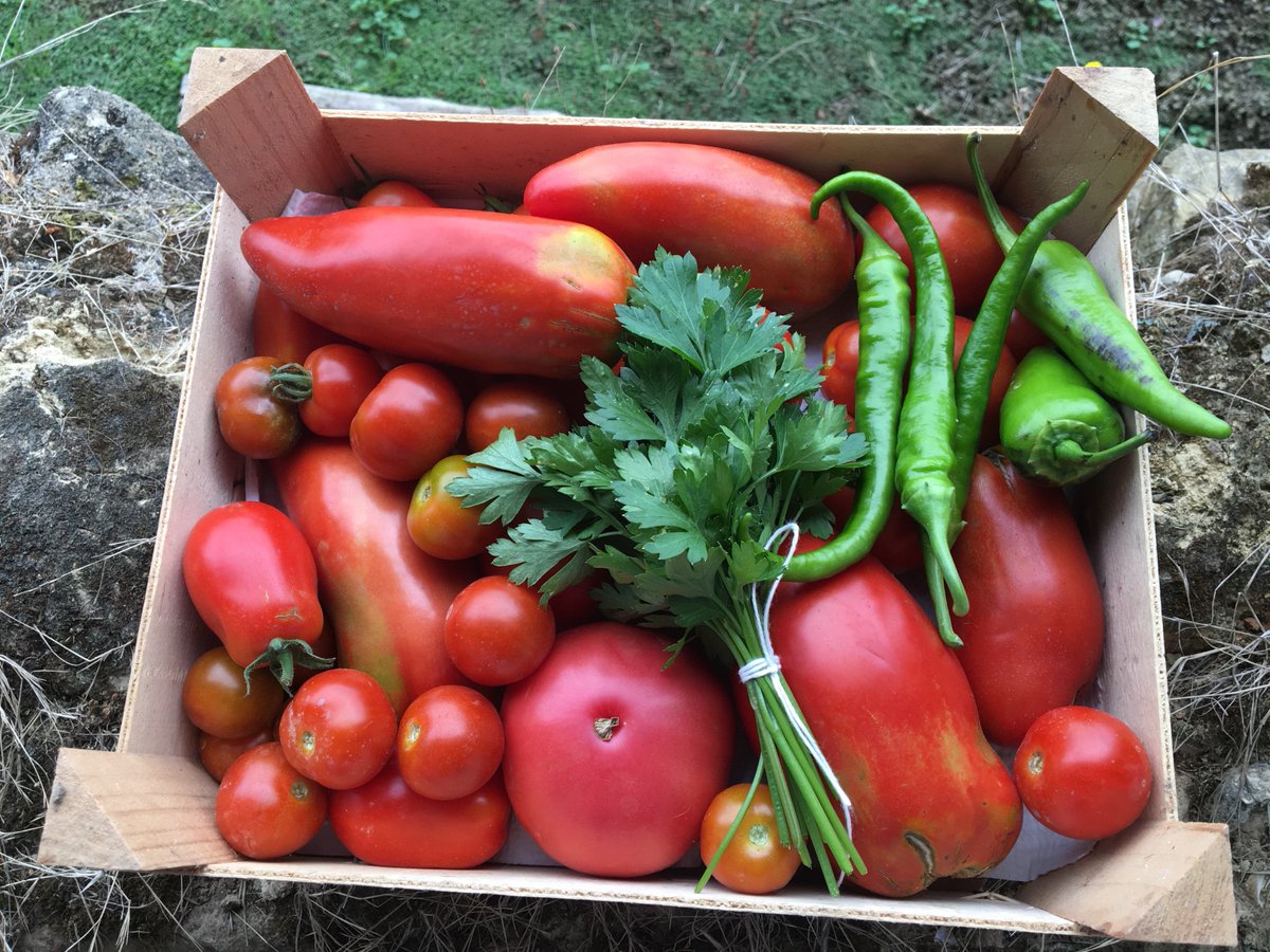 Pignoulet tweet media