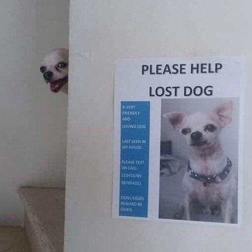 Me posting dramatic shit for attention.