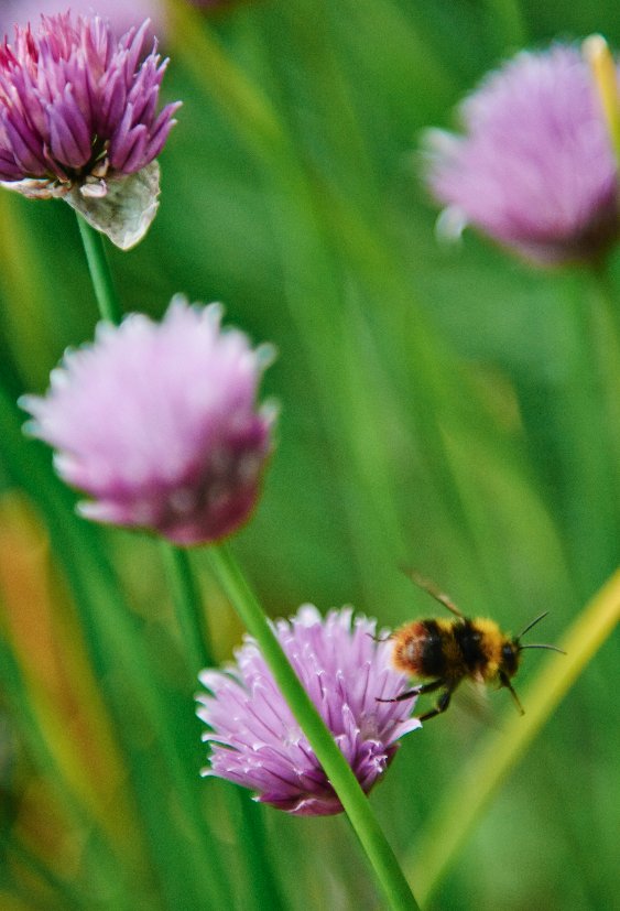 Winteringham Fields tweet media