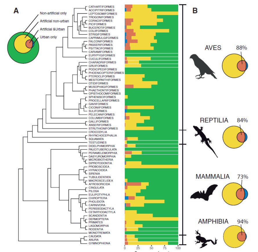 ICB_journal's tweet photo. Are #Urban #Vertebrates City Specialists, #Artificial #Habitat Exploiters, or #Environmental Generalists? #ICBAccepted by Ducatez et al. #SICB2018 https://t.co/3fmBWAI1Pp https://t.co/ON4Tbi6FON