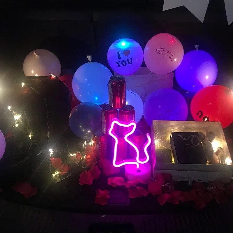 nbakilight's tweet image. #catneonlight #ledstringlights #microstringlights #partydecoration #Akilight