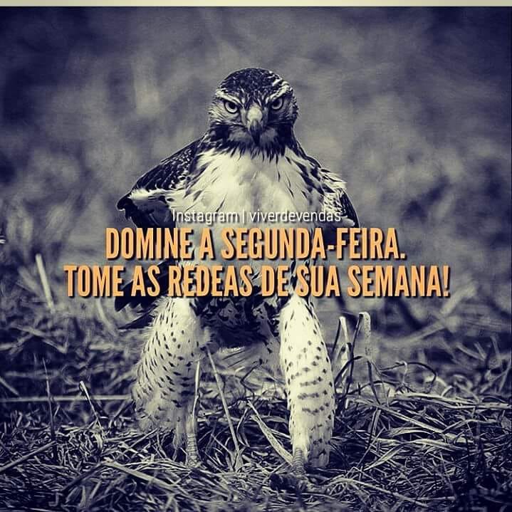 😎
#BetaQuerLab