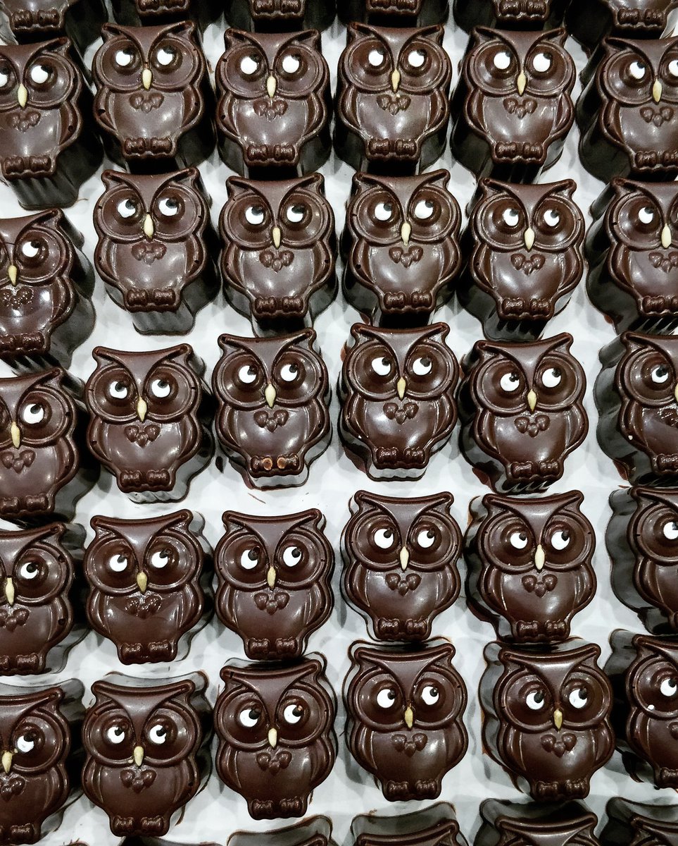 dallywonka's tweet photo. What are y'all looking at?
#yyc #thechocolatelab #chocolate #edibleart #kidstyle #owls https://t.co/l7jkUyFzsi