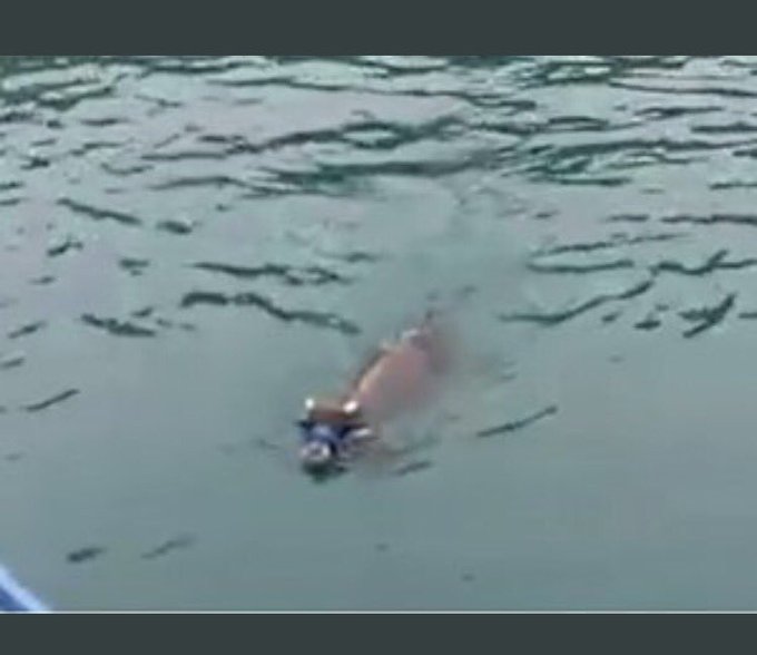 Resmi Twitter'da görüntüle