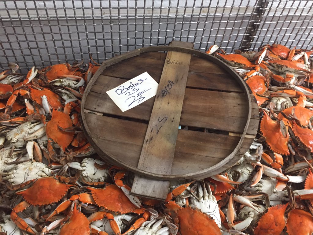 MDsBestSeafood's tweet photo. Fresh is what it's all about! Featuring @Lindys_Seafood pick house on Hooper's Island #mdsbest #local #bluecrabs https://t.co/GPEgblqRDE