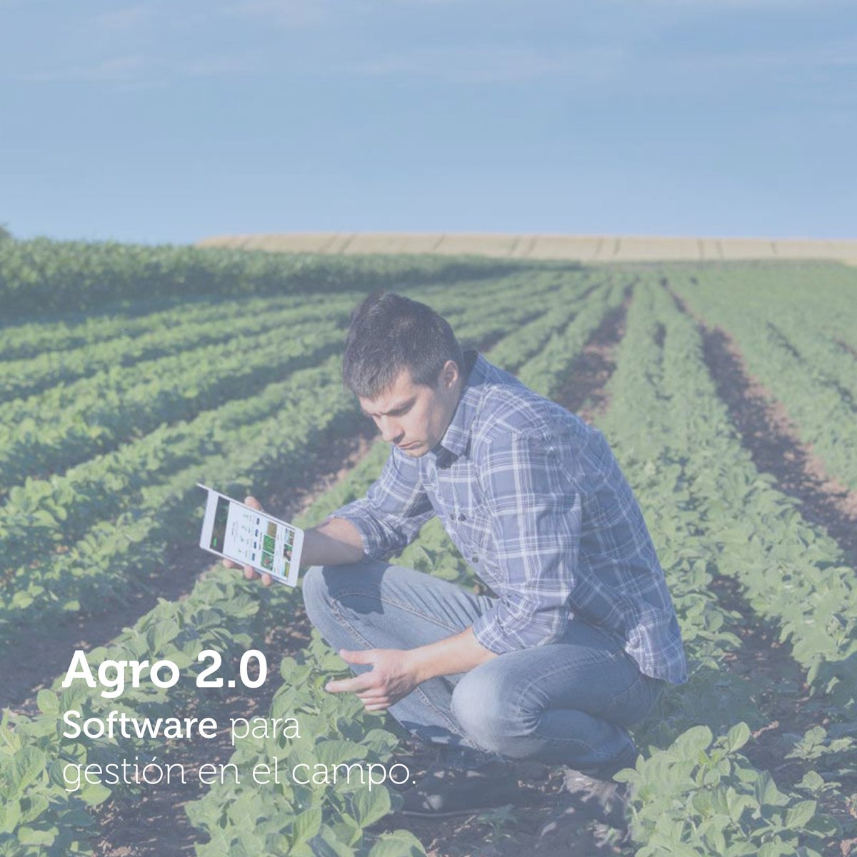 codigoc1's tweet image. LA TECNOLOGÍA WEB Y MÓVIL AL SERVICIO DEL AGRO

Revisa el reportaje completo aquí:
revistagrupoagro.cl/primetec/

#RevistaGrupoAgro #Primetec