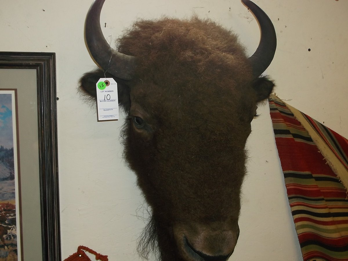 venduio's tweet photo. Western Collectibles for sale by RLP Auctions on 9/9/18 in Montana with online bidding through @iCollector. Go to https://t.co/surispv07j for details. #DoYouVendu https://t.co/oESGQXdJkp