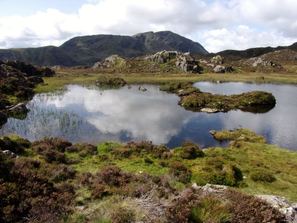 StanLeigh18's tweet photo. @glocky9 @keswickbootco @Wainwright_Pub @WainwrightRocks #InnominateTarn #Haystacks #Pillar #BlackbeckTarn #GreatGable #KirkFell #Grasmoor #Robinson #HighSnockrigg - the loftier summits look #fantastic from #Haystacks. No wonder it was AW's favourite https://t.co/ScpUZCUnkj