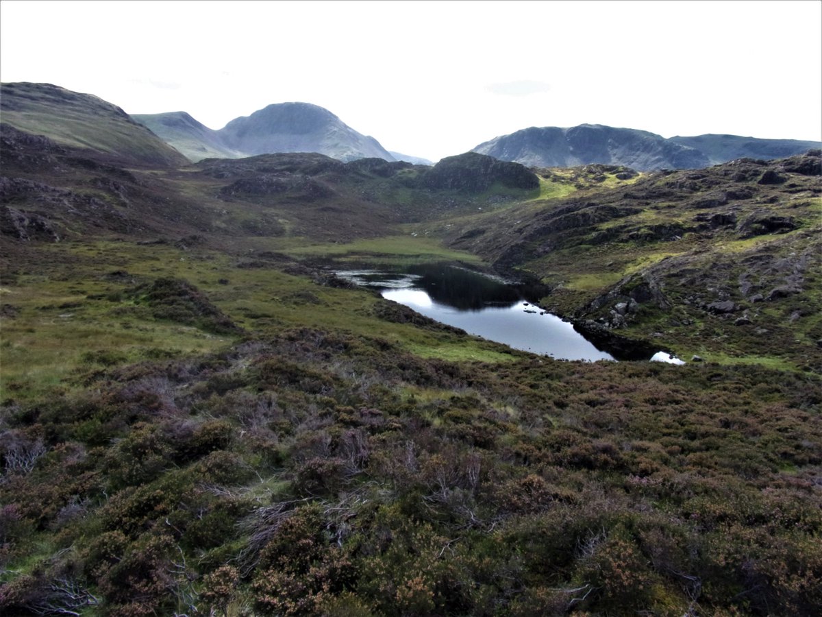StanLeigh18's tweet photo. @glocky9 @keswickbootco @Wainwright_Pub @WainwrightRocks #InnominateTarn #Haystacks #Pillar #BlackbeckTarn #GreatGable #KirkFell #Grasmoor #Robinson #HighSnockrigg - the loftier summits look #fantastic from #Haystacks. No wonder it was AW's favourite https://t.co/ScpUZCUnkj