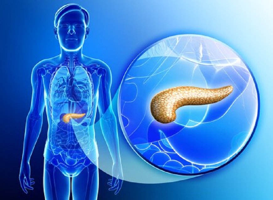 Disertarán sobre patologías pancreáticas en el INCAN bit.ly/2NtlKle