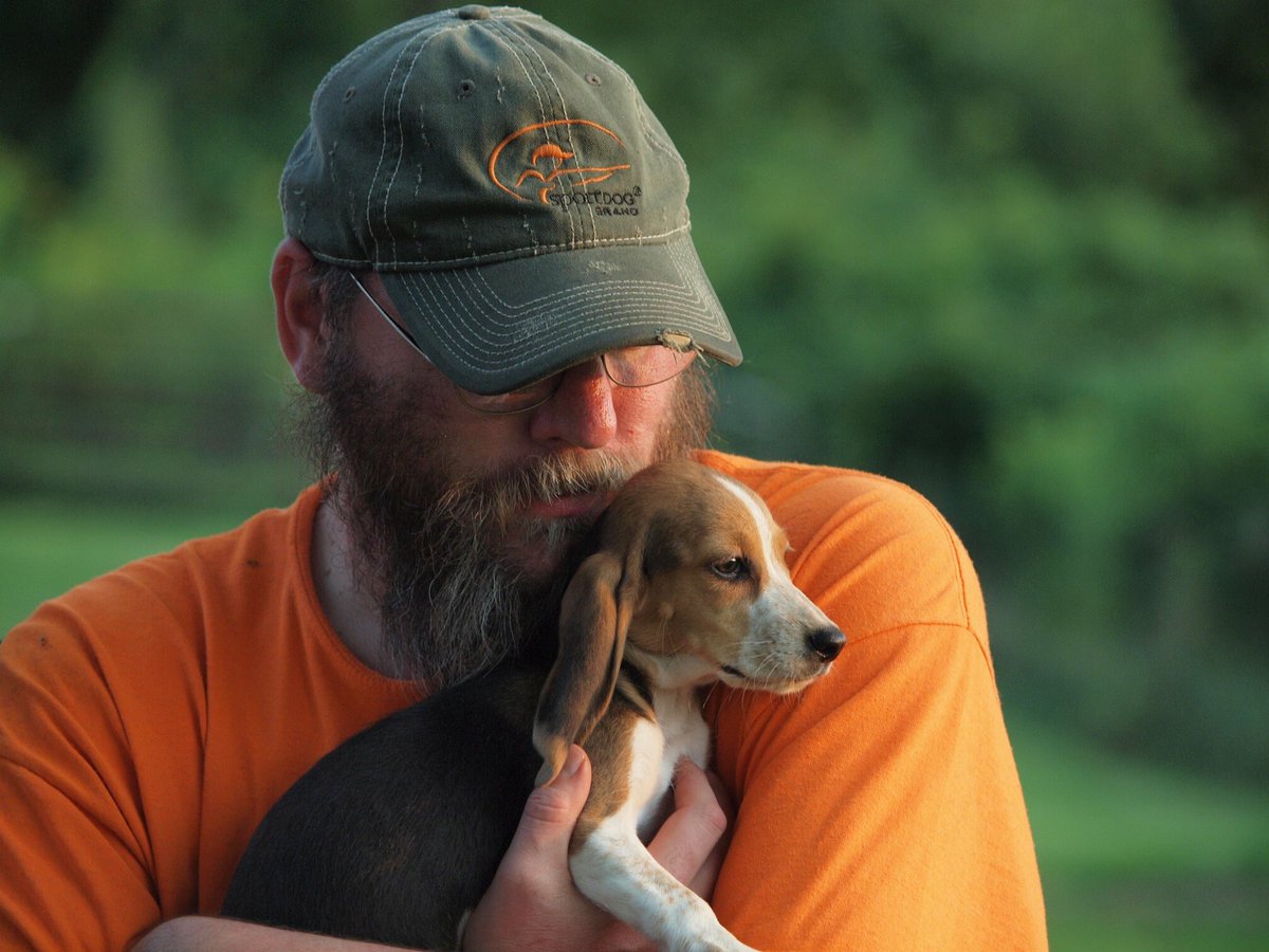 Beaglebard's tweet photo. Pup that a buddy had at a field trial on Saturday. #SportDOG #ThatDogWill learn to sing hound music. https://t.co/XdU9BGn8O6