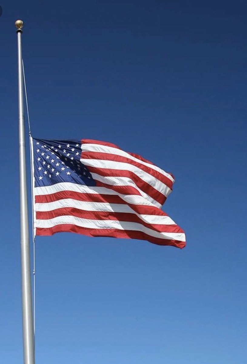 Seize_Todey's tweet image. I challenge you to share an image of the flag flying properly today - unlike the one flying at the White House!!#PieceOfShitPresident #DonaldTrump #JohnMcCain #AmericanWarHero