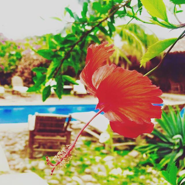 mansionchoco's tweet photo. Llegó el Lunes y con él las ganas de disfrutar de una semana llena de vida!
@mansionchoco 
#MondayMotivation #FelizLunes #MondayMorning #Granada #Nicaragua https://t.co/tsmFBbrHqY