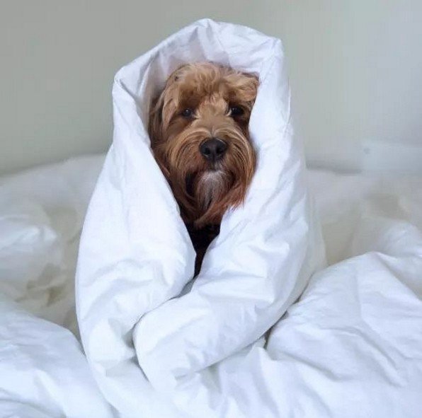 JoeBoxer's tweet image. 