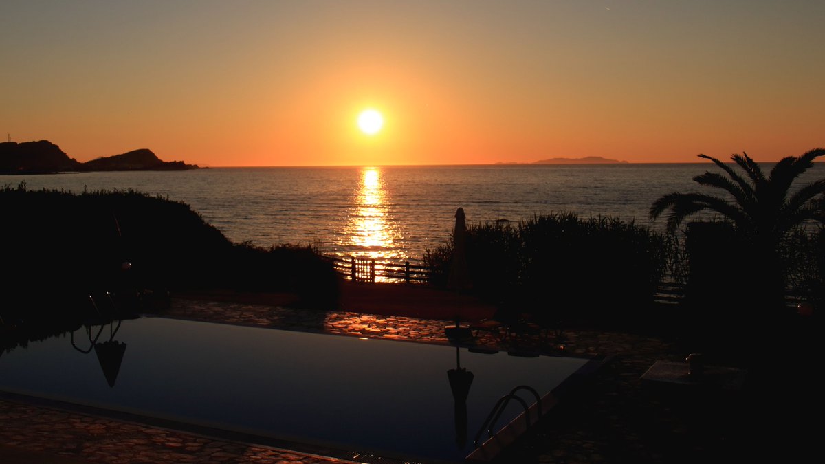 Susan Gutteridge tweet media