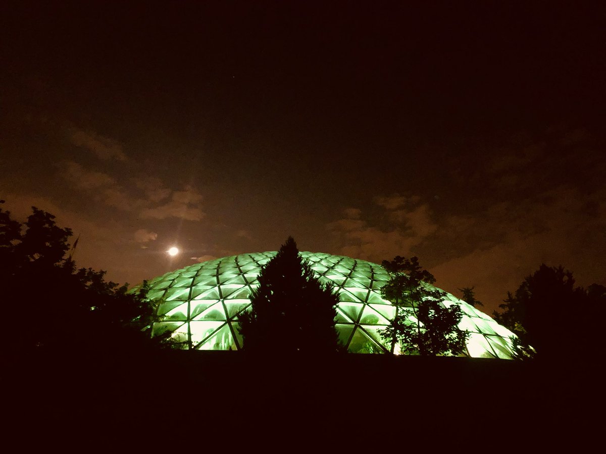 Location scouting for my first music video🕵️‍♀️🎥 Half expected a CGI dinosaur to come crashing through that dome. #holdontoyourbutts #mood #indiemusic