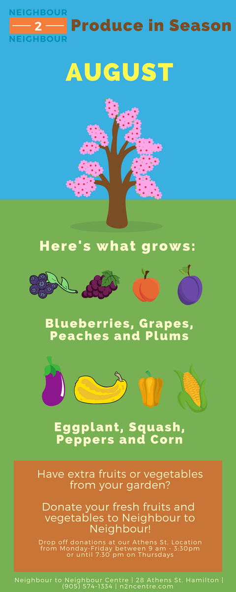 n2nCentre's tweet photo. It's harvest season! 

Farmers &amp; gardeners of #HamOnt: Are you stuck with surplus produce? Look no further than us! Help us help our community by donating your surplus produce to @n2ncentre. Let's help our community #eatfresh this fall. https://t.co/JMvBq4GnnO