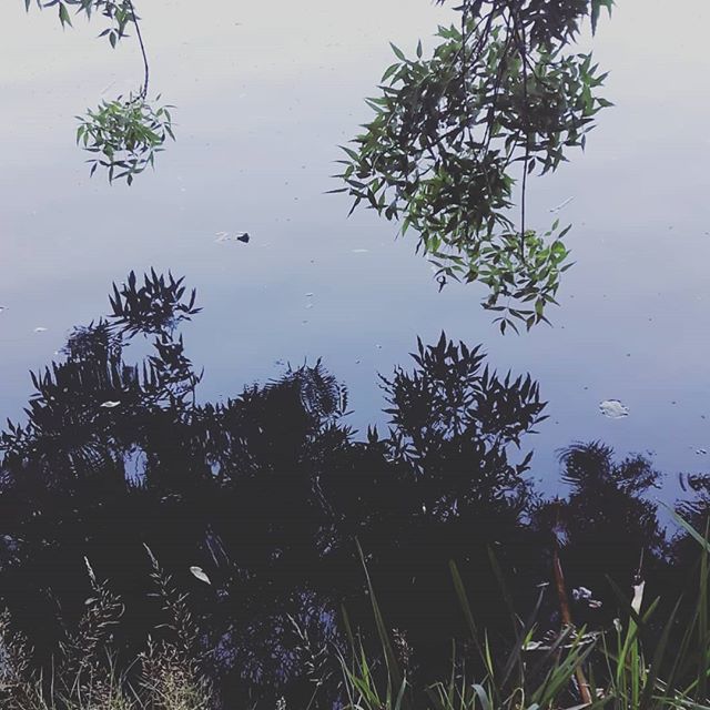 Elementumdp's tweet image. Summer reflections.....
#elementum #slowfashion  #counsciousliving #organic #summertime  #aldeiasdoxisto #enjoylife ift.tt/2LvIrUn