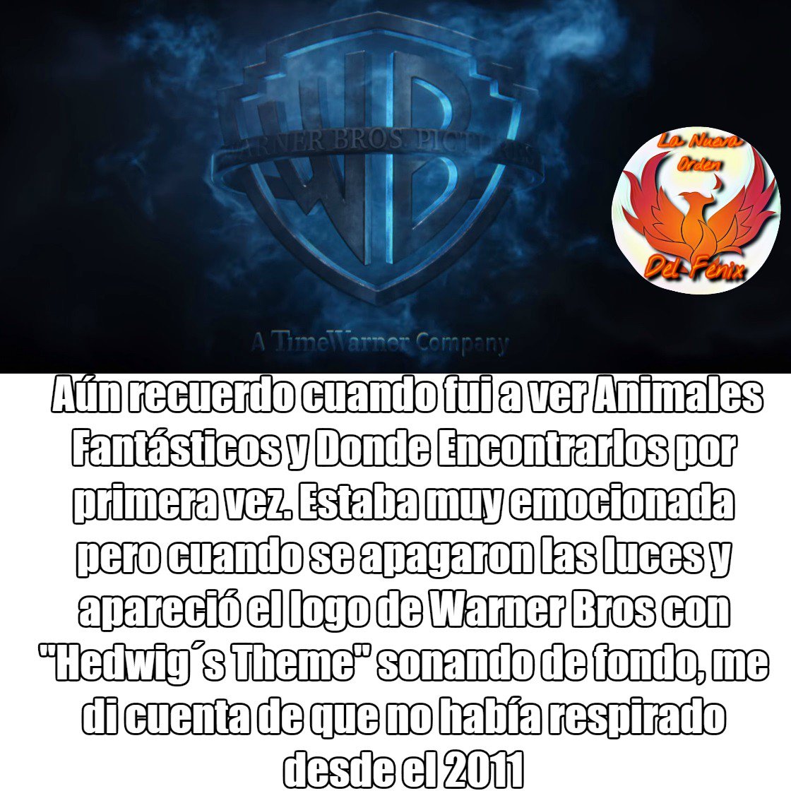 Y esto es lo que me ocurrió a mí cuando fui a ver Animales Fantásticos la primera vez al cine #TrueHistory 😄😄🍒