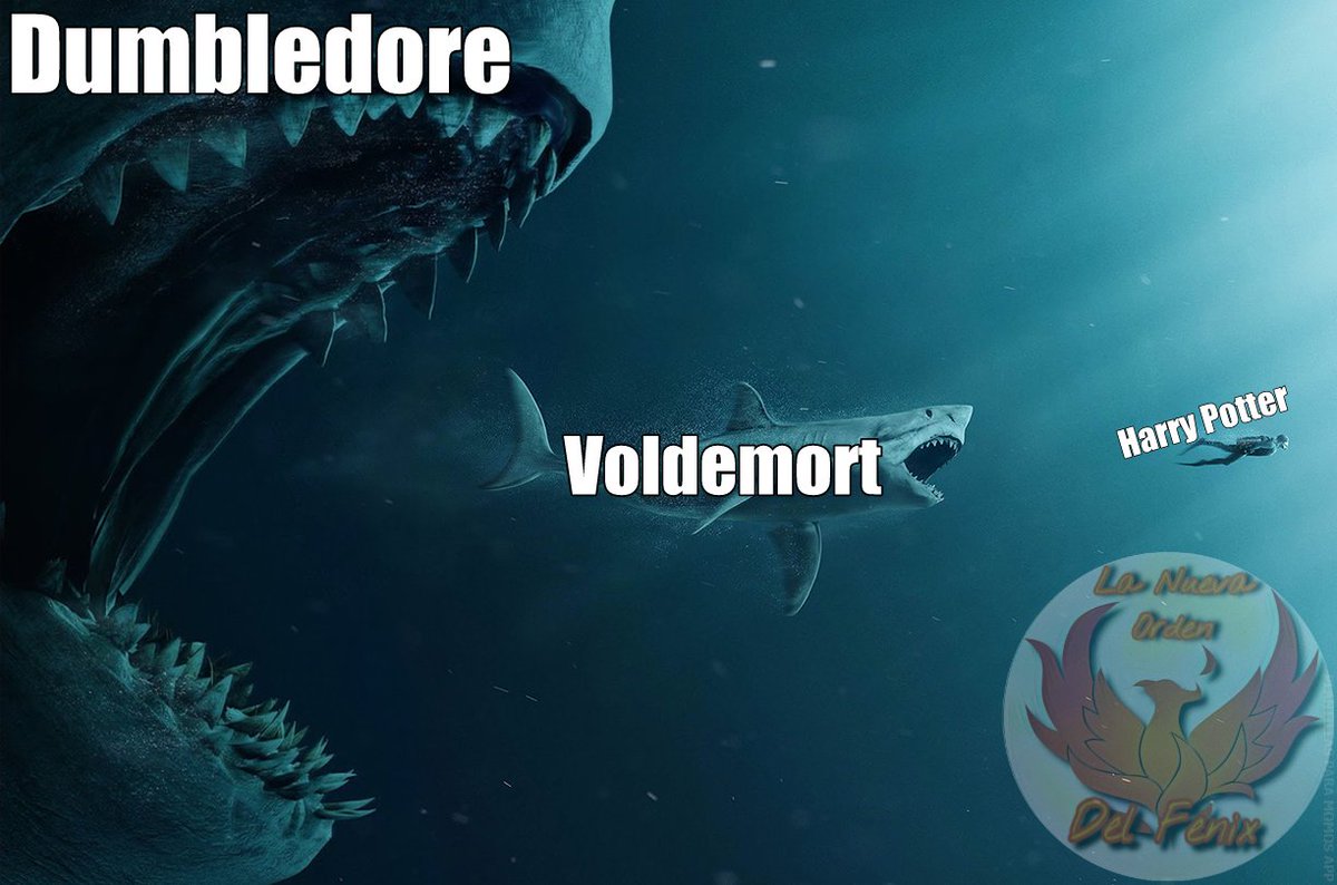 La saga de Harry Potter resumida en una sola imagen✨