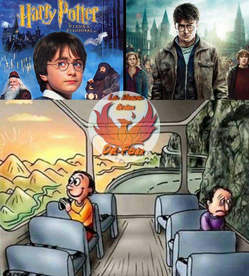 ¡Por Merlin!, si se saltan desde La Piedra Filosofal hasta Las Reliquias de La Muerte parte 1 y parte 2 será como un golpe de madurez a la cara😩😭✨