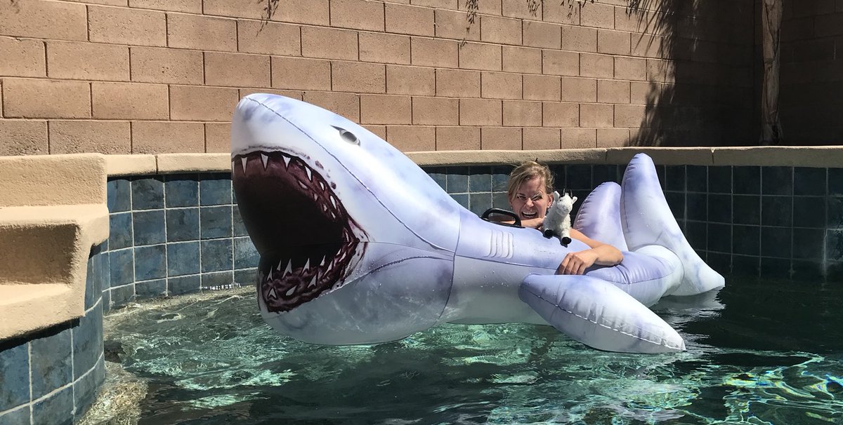 IBKinTN's tweet photo. Not usually how I #PutAGoatOnIt but after a long weekend of unpacking &amp; a road trip, Douglas &amp; @sewaitman decided that Shark Wrestling had to happen. This beauty is a 7+’ Great White, #NotAMegalodon @WhySharksMatter https://t.co/4Ul1FndCJU