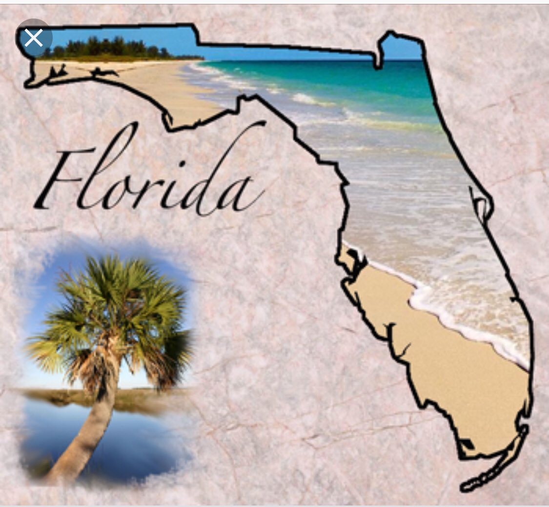 561rick's tweet photo. @cmclymer Yep ,#Florida  is awesome! The #Gunshinestate 
🌞's out 🔫's out
🕶🏖🌈 I love this place! https://t.co/dZgYfV1EwS