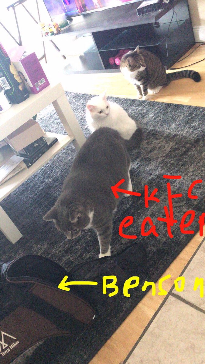 Sorry Benson I have to let u go, no one take cares of u while I am on vacation next week, don't shy hiding in the courier bag, your friends are ready to meet u in the line!(or punch u in the line I don't know hahah;)  your first friend is fatty guy who eats KFC omg, Good luck bud
