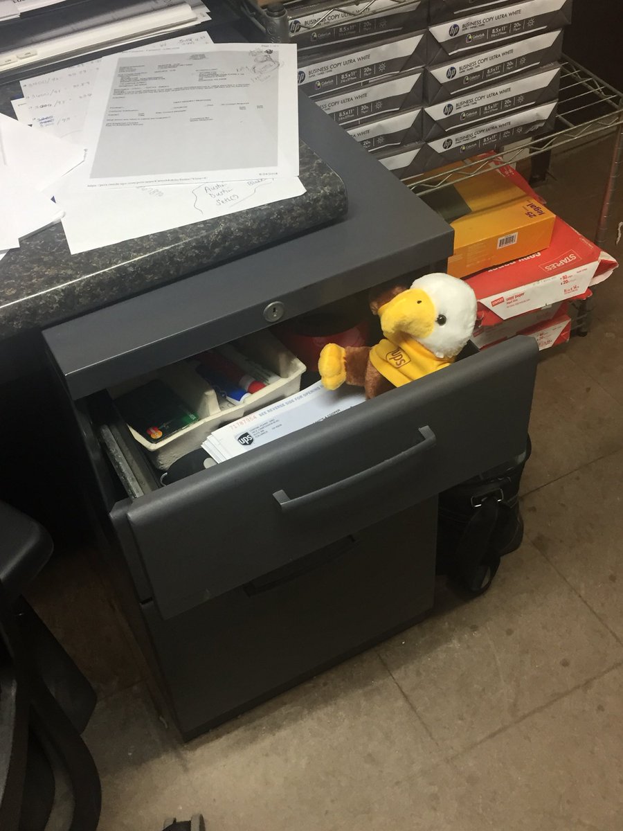 dmccoyups's tweet photo. @CP_UPSers @nlucas15 Our Safety Eagle jumped out of another sup’s desk drawer today. Just like Elf on the Shelf! https://t.co/CI9952CQrq
